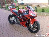 Мотоспорт: Что лучше  honda cbr 600 rr  suzuki gsx 600 или yamaha r6