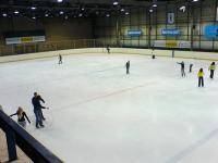 Остальные виды спорта: Что вы умеете делать на льду