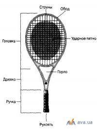 Остальные виды спорта: Ракетку хочу  посоветуете