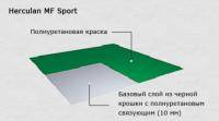 Остальные виды спорта: 10 лучший МФ