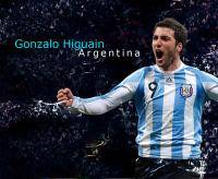 Остальные виды спорта: Gonzalo Higuain