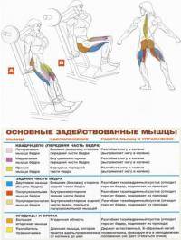 Остальные виды спорта: Качаем ноги