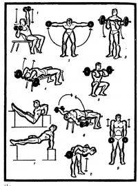 Остальные виды спорта: Подъем штанги на бицепс или подтягивания на перекладине обратным хватом