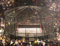 Остальные виды спорта: Elimination Chamber обсуждение