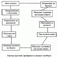 Остальные виды спорта: Силовые тренировки ПРОГРАММЫ