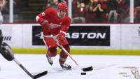 Остальные виды спорта: Игромания NHL