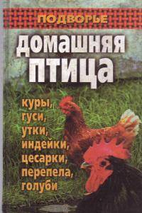 Остальные виды спорта: Блюда из утки  гуся  индейки цесарки