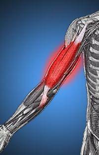 Остальные виды спорта: болят мышцы занемаюсь каждый день как быстро избавиться от боли в мышцах
