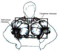 Остальные виды спорта: как накачать внутреннию часть грудь
