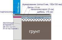 Остальные виды спорта: Вопросы задаем сюда