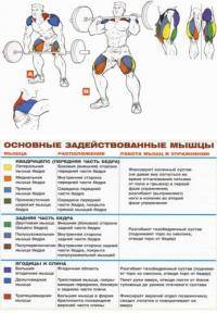 Остальные виды спорта: Нужна взрывная программа для мышц голени