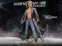 Остальные виды спорта: Итоги на Survivor Series