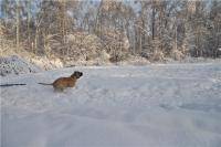 Остальные виды спорта: Погодка зверь