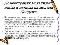 Остальные виды спорта: У кого сколько объем грудной клетки  на вдохе и выдохе