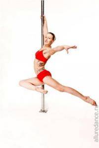 Остальные виды спорта: Интересно о Pole dance