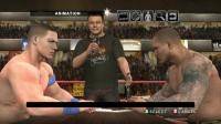 Остальные виды спорта: Smackdown vs Raw 2010