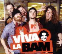 Остальные виды спорта: Ваша любимая серия Viva la Bam