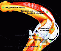 Новости футбола: Боли после прыжков