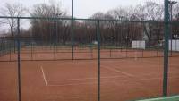 Новости тенниса: Где можно научиться игре