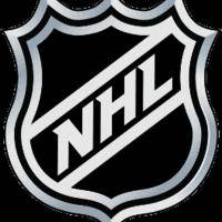Новости хоккея: НХЛ 09 по сети 2