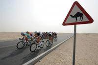 Велоспорт: Tour of Qatar 2011