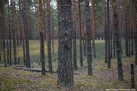 Велоспорт: А куда бы нам съездить в ближайшие выходные