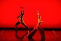 Современные танцы: Все о танцах  изречения  афоризмы  юмор