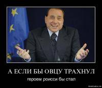 Катание на роликах: Если б ты был овцой  ты бы трахнул овцу