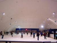 Зимние виды спорта: Встреча Нового 2010 года на катке