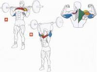 Легкая атлетика: Как накачать низ груди