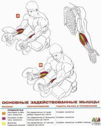 Легкая атлетика: запястье