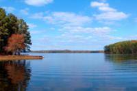 Водные виды спорта: Реклама рыболовных групп  товаров и услуг