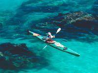 Водные виды спорта: Весла на воду