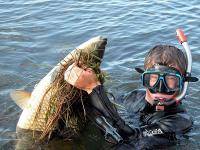 Водные виды спорта: Маска пдводного мисливця
