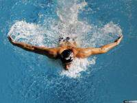 Водные виды спорта: за сколько проплывете 800 м кроль