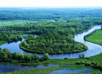 Водные виды спорта: Курьезные и смешные события ны рыбалке