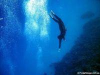 Водные виды спорта: Что такое PADI СMAS NAUI и другие системы  проводящие обучение подводному плаваниюдайвингу