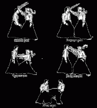 Единоборства: Айкидо и техника ударов