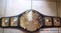 Единоборства: Кто  достоин  звания  TNA  WORLD  HEAVYWEIGHT  CHAMPIONSHIP