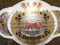 Единоборства: TNA World Tag Team Championship