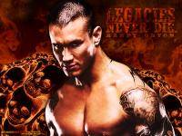 Единоборства: Что вы думаете о Randy Orton