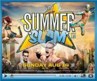 Единоборства: WWE Summer Slam 2011