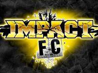 Единоборства: Есть ли будущее у  Impact FC