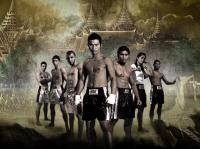 Единоборства: Есть ли смысл ехать в Таиланд  чтобы заниматься тайским боксом