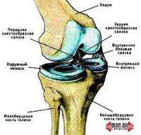 Единоборства: ТРАВМА    связки в коленого сустава