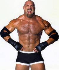 Единоборства: bill goldberg