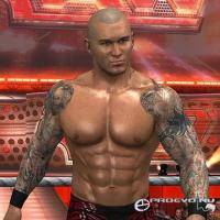 Единоборства: GAME Smackdown vs Raw 2011