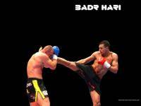 Единоборства: Badr Hari vs Peter Aerts бой реванш