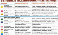 Фитнес и бодибилдинг: Помогите с элементом на турнике винт  некоторые зовут червяк