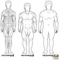 Фитнес и бодибилдинг: Эктоморфный тип телосложения
